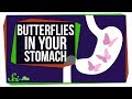 Why Do You Feel Butterflies in Your Stomach?