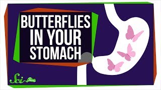 SciShow - Why Do You Feel Butterflies In Your Stomach?