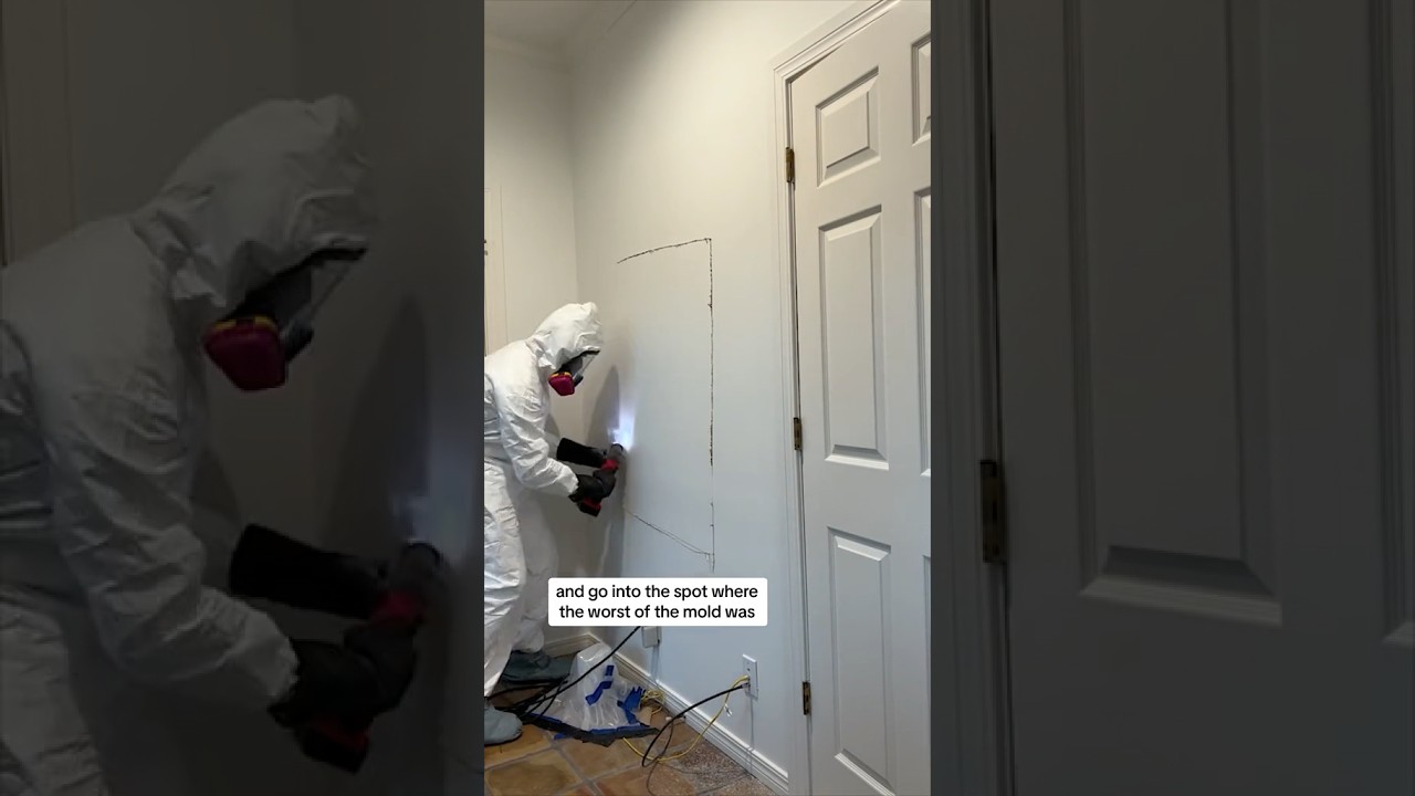 DIY Mold Remediation- Part 2! We hope you are learning as much as we are through this process. #mold
