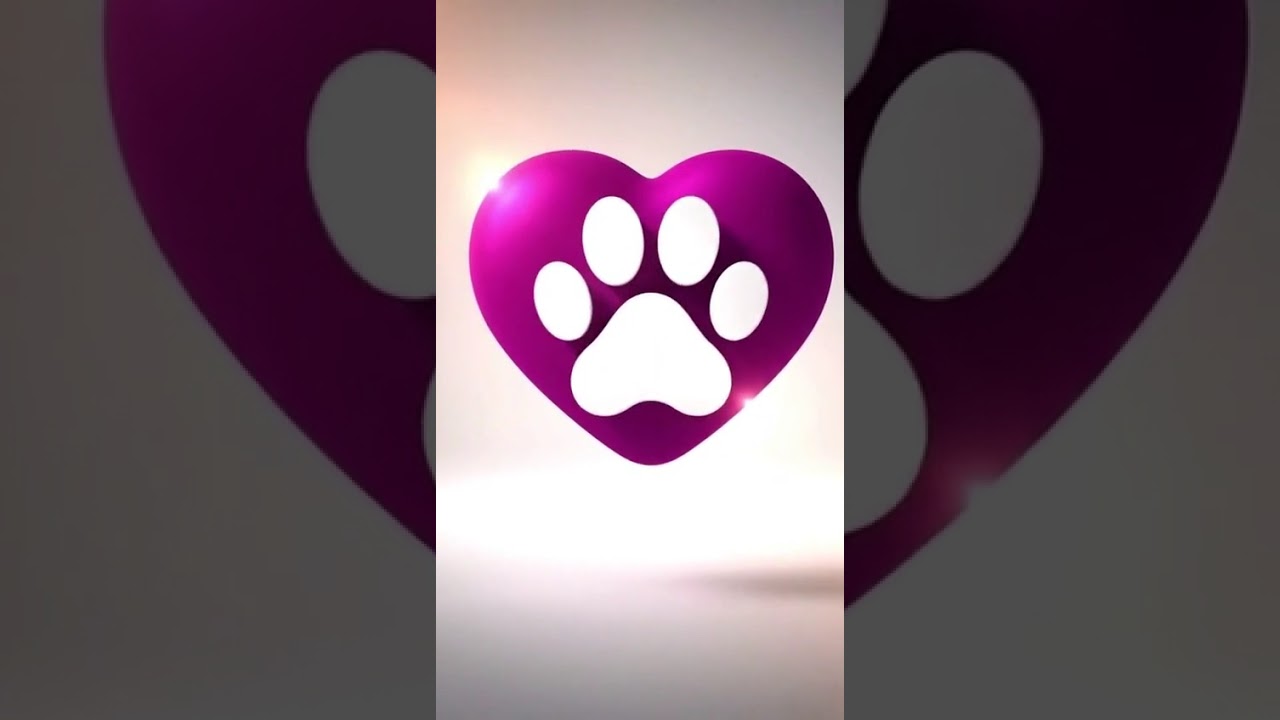 Cachorro raça SRD-ViraLata idade 2 anos nome Athena 