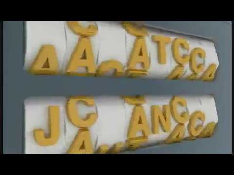 Saison 2009-2010 Coupe de la ligue 8ème de finale Olympique de Marseille-Lille 2-1