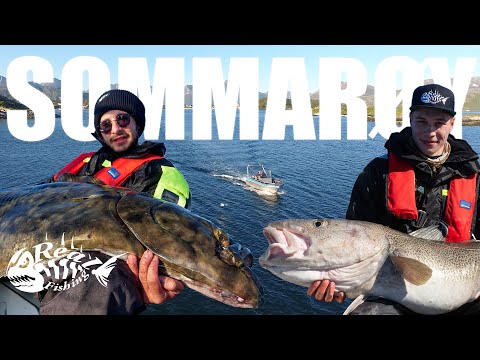 SOMMARØY- im Reich der GIGANTEN // Auf Heilbutt, Großdorsch & Co in Nordnorwegen