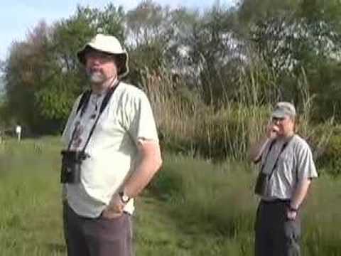 Cape May Bird Observatory's 24th Annual World Series of Bird