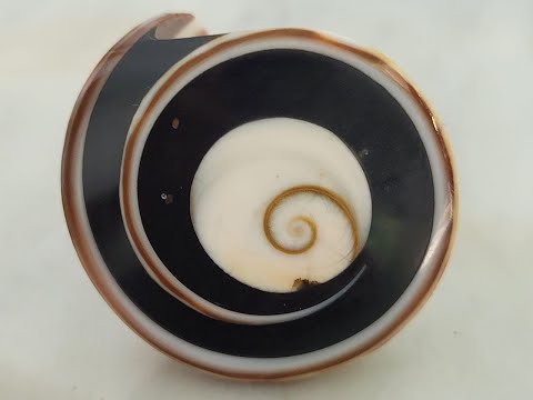 Astrology for the Soul May 31, 2023