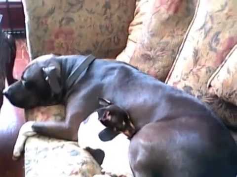 UNIQUE AND FONZERELLI ''AKA' FONZII