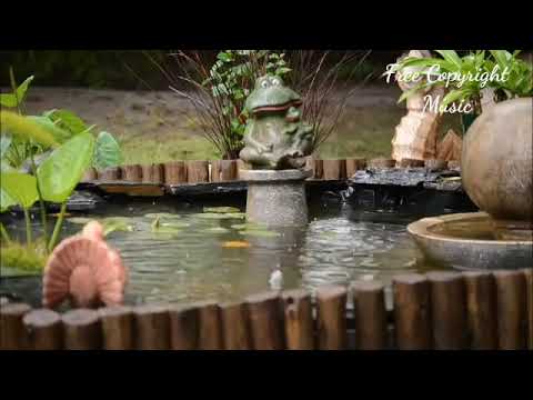 Droplt➤(No Copyright Background  Music Roni) ☞video No: 116