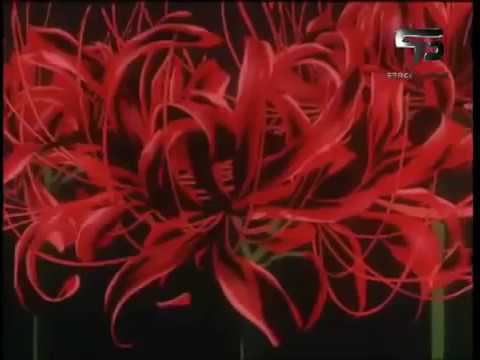 اغنية انيوشا