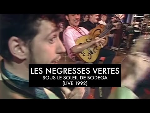 Les Négresses Vertes - Sous Le Soleil de Bodega - 27/06/1992 - Une Pêche Pour Bac d'Enfer (FR3)