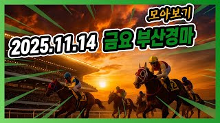 2025년 11월 14일 금요 부산경마 전체경주 모아보기