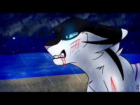 How far will Darktail go 48 hour PMV MAP Completed