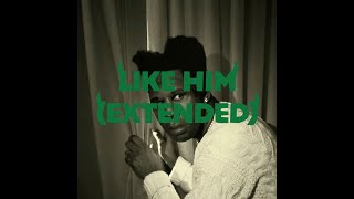 Cover art for Like Him