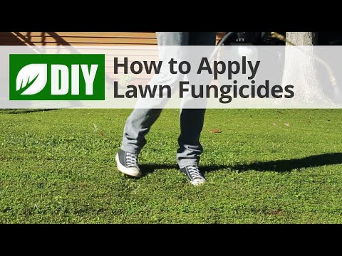  How to Use Lawn Fungicides Video 