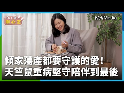 天竺鼠突罹病 經濟遭手術費壓垮！傾家蕩產仍堅持陪牠到生命的最後一刻【PET你聊心室】 EP4 產品設計師 NJ(下集)