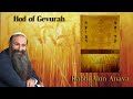 Hod of Gevurah | Counting the Omer - Rabbi Alon Anava