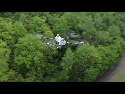 YouTube видео