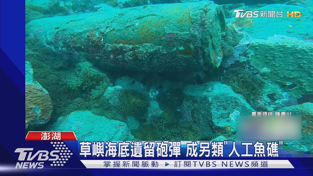 草嶼海底遺留砲彈 成另類「人工魚礁」