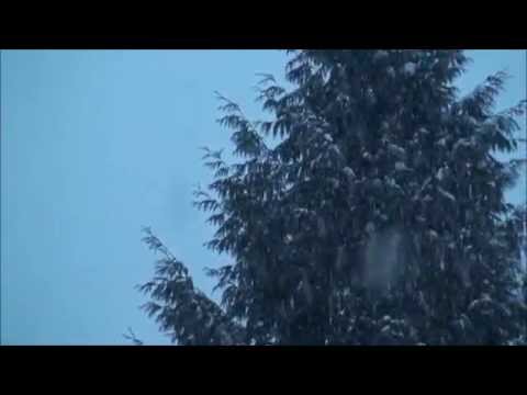 JESUS EDUARDO - PREFIERO A MI CRISTO