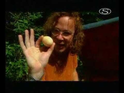 River Cottage - Kapa, kasza, fakanál S01E13