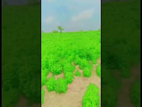 Sindhi song Fozia soomro, Rajab faqeer,  #beach #ronaldo #nature