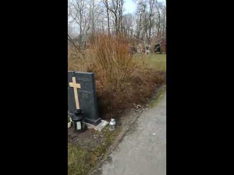 Noorderbegraafplaats. Selwerderhof