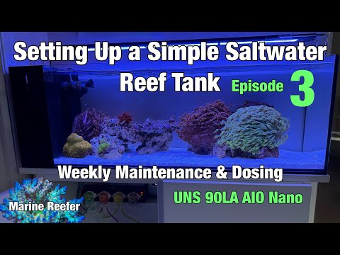 How to Set Up a Simple Saltwater Reef Tank Episode 3 - Weekly Maintenance & Dosing the UNS 90LA
