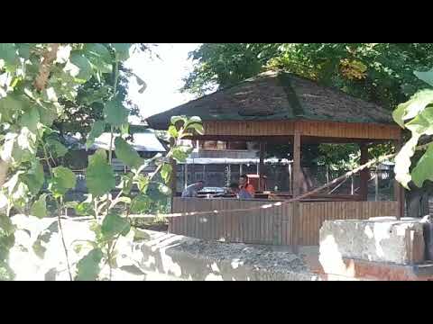 Melinești: Angajații de la stat se plictisesc și joacă table