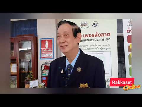 คลิกเพื่อดูคลิปวิดีโอ
