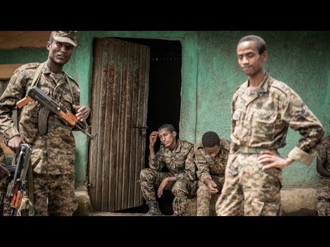 Ethiopian army launches ground offensive on Tigray forces, rebel group says • FRANCE 24 English