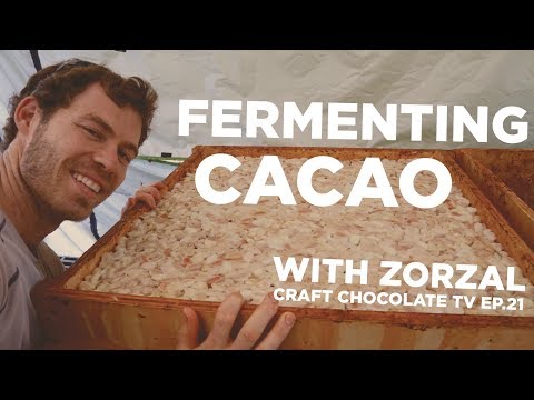 Fermenting Cacao (4 tier cascade system) - Episode 21 - Craft Chocolate TV