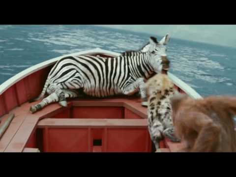 Poor zebra! Pi was scared by the hyena and stepped back far!