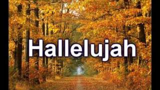 Grace Like Rain   Todd Agnew Worship Video w Lyrics