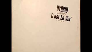 Jean Michel Jarre - C'est La Vie (Futureshock Transglobal Remix)