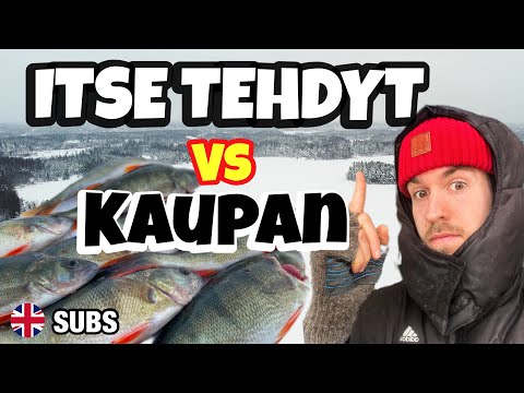 MORRIEN TAISTO - Isot ahvenet toimivat tuomarina