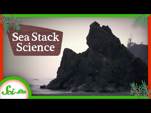 How Washington Became a Ship Graveyard: A SciShow Field Trip #3