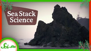 How Washington Became a Ship Graveyard: A SciShow Field Trip #3