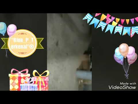 Happy ajalah {PANUS _BIASA•33