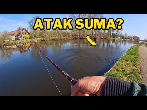 POTĘŻNA RYBA POD NOGAMI! - SPINNING NA RZECE