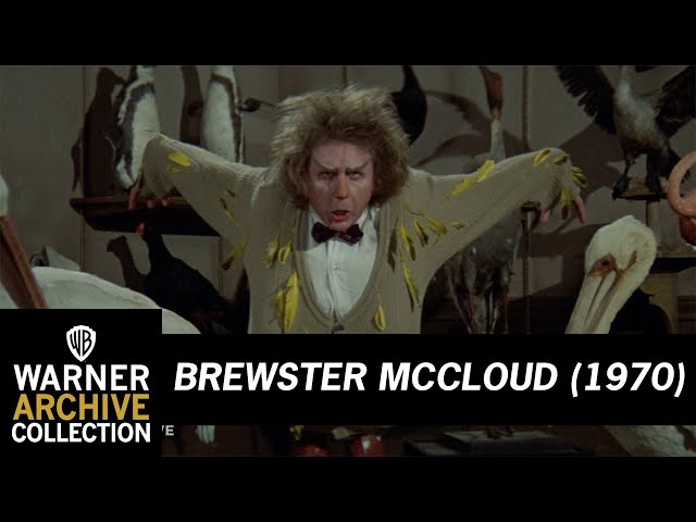 The Blue Footed Boobie