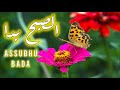 Assubhu Bada الصُّبْحُ بدَى Nasheed Beautifully Sung By Mohamed Tarek