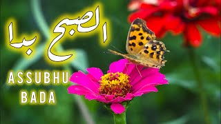 Download lagu Assubhu Bada | الصُّبْحُ بدَى | Nasheed | Beautifully Sung by Mohamed Tarek mp3 Download lagu Assubhu Bada | الصُّبْحُ بدَى | Nasheed | Beautifully Sung by Mohamed Tarek mp3