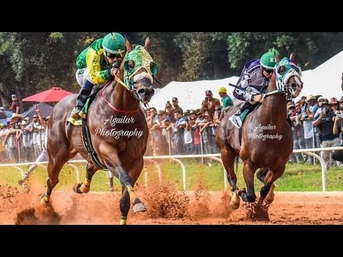 El trump my record cuadra cristo rey le gana al flash cuadra R/R ay claro !!!!!