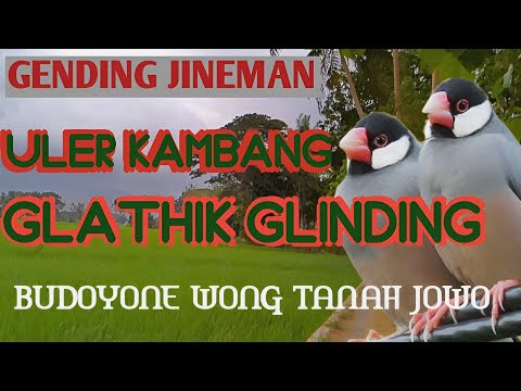 GENDING JINEMAN - ULER KAMBANG - GLATHIK GLINDING - GENDING JAWA UYON-UYON - BUDOYONE TANAH JOWO