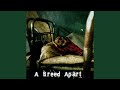 Now (Acoustic Version)