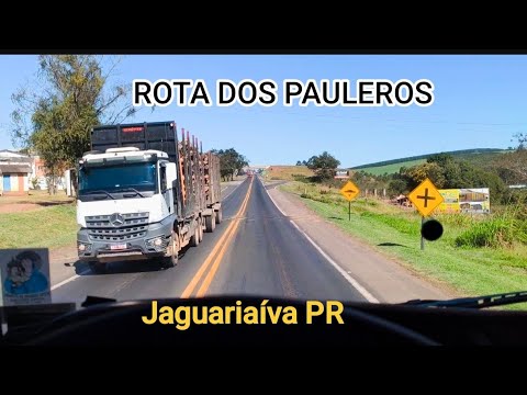 Carreguei trigo em Wenceslau Braz PR