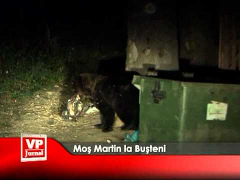 Moş Martin la Buşteni
