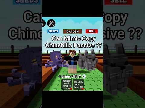 Can Mimic Copy Chinchilla Passive ??   #growagarden #roblox