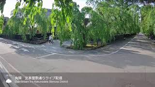 角館武家屋敷通り