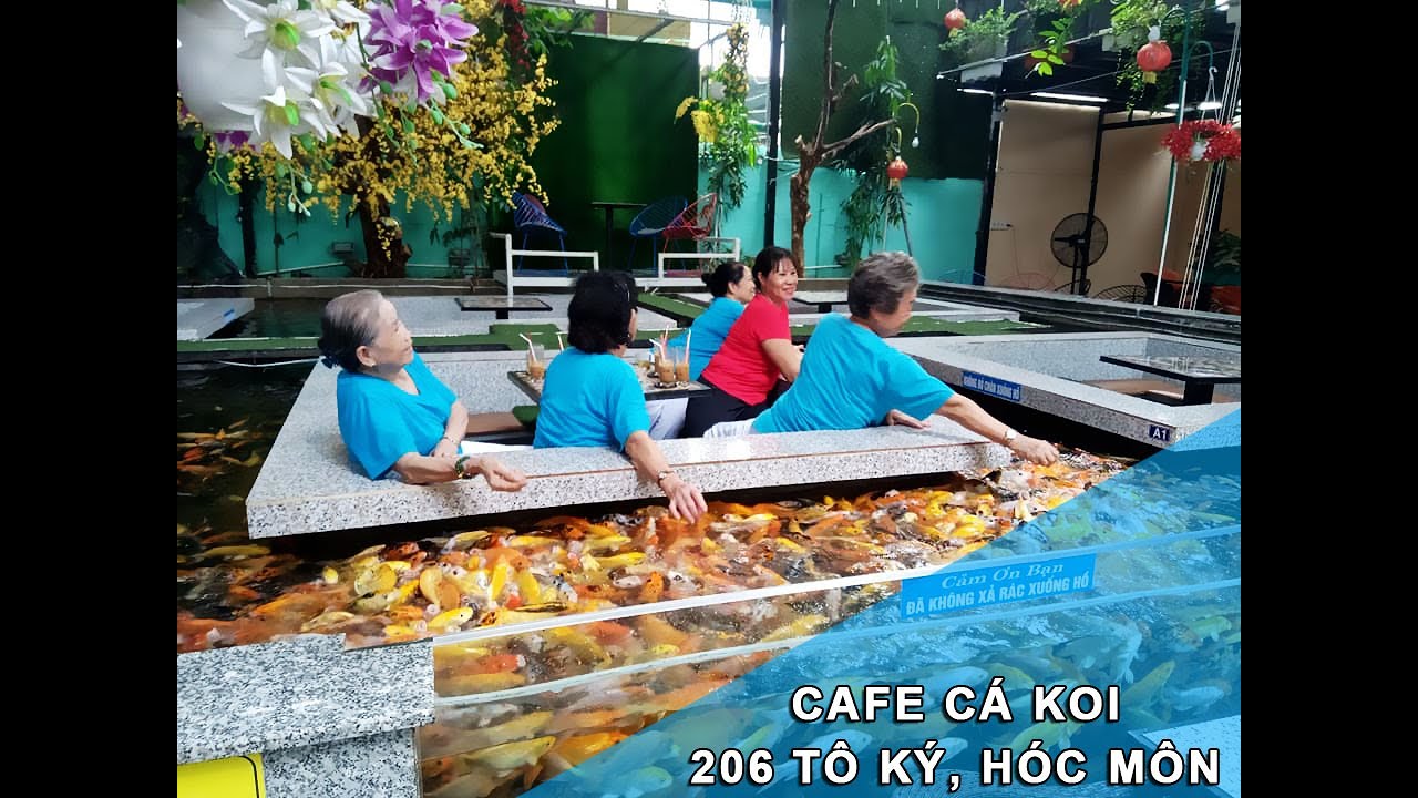 Cafe Cá Koi - Lan Kế Toán Thư Giãn Cuối Tuần Với Ông Xã