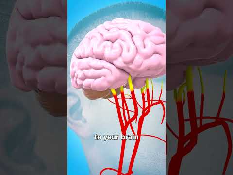 Why Expired Milk Makes You Sick 🤢