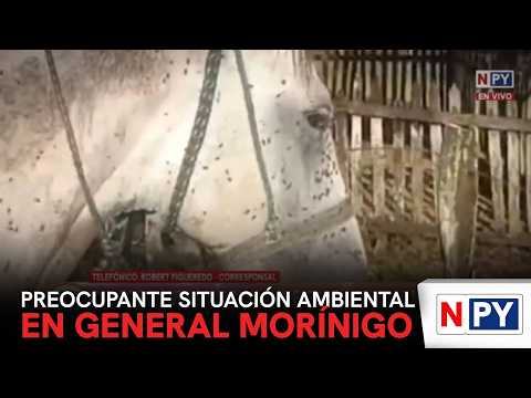 Preocupante situación ambiental en General Morínigo